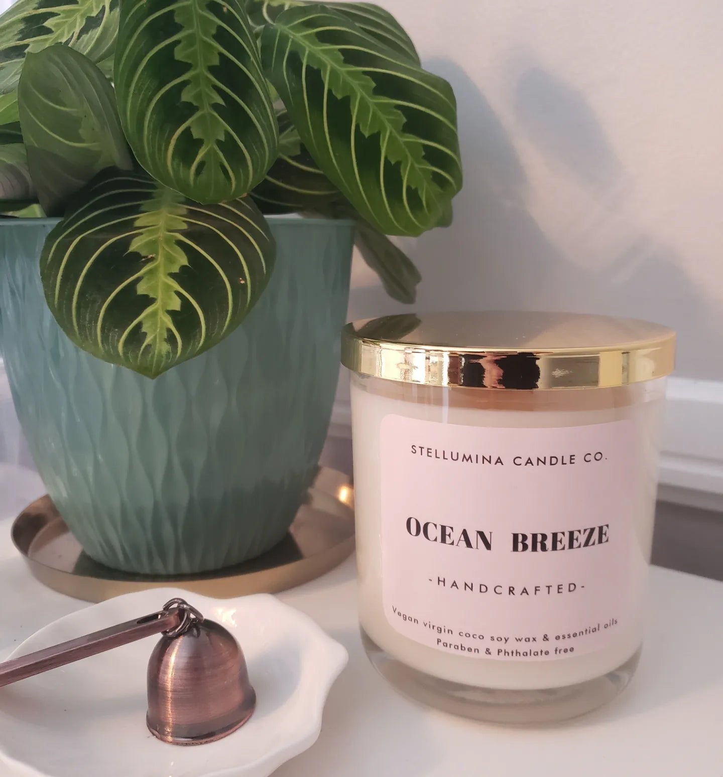 Ocean Breeze 12oz